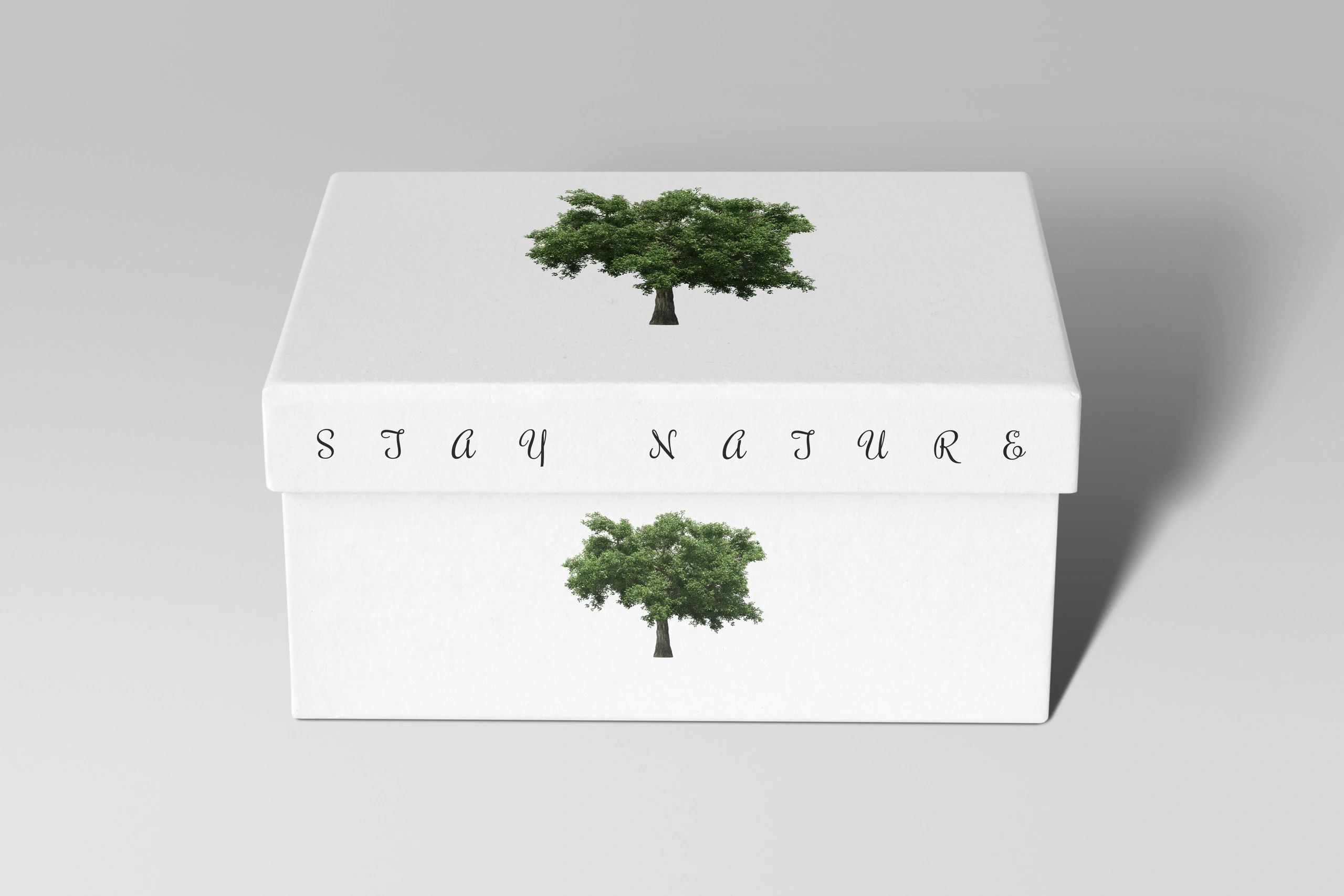 Decorative gift box packaging