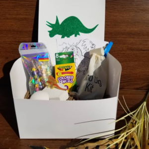 Dinosaur dig kit, Excavation kit, personalized Dinosaur plushie, kids activity set, dinosaur excavation gift, dinosaur dig kit