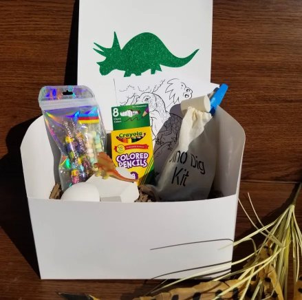Dinosaur dig kit, Excavation kit, personalized Dinosaur plushie, kids activity set, dinosaur excavation gift, dinosaur dig kit